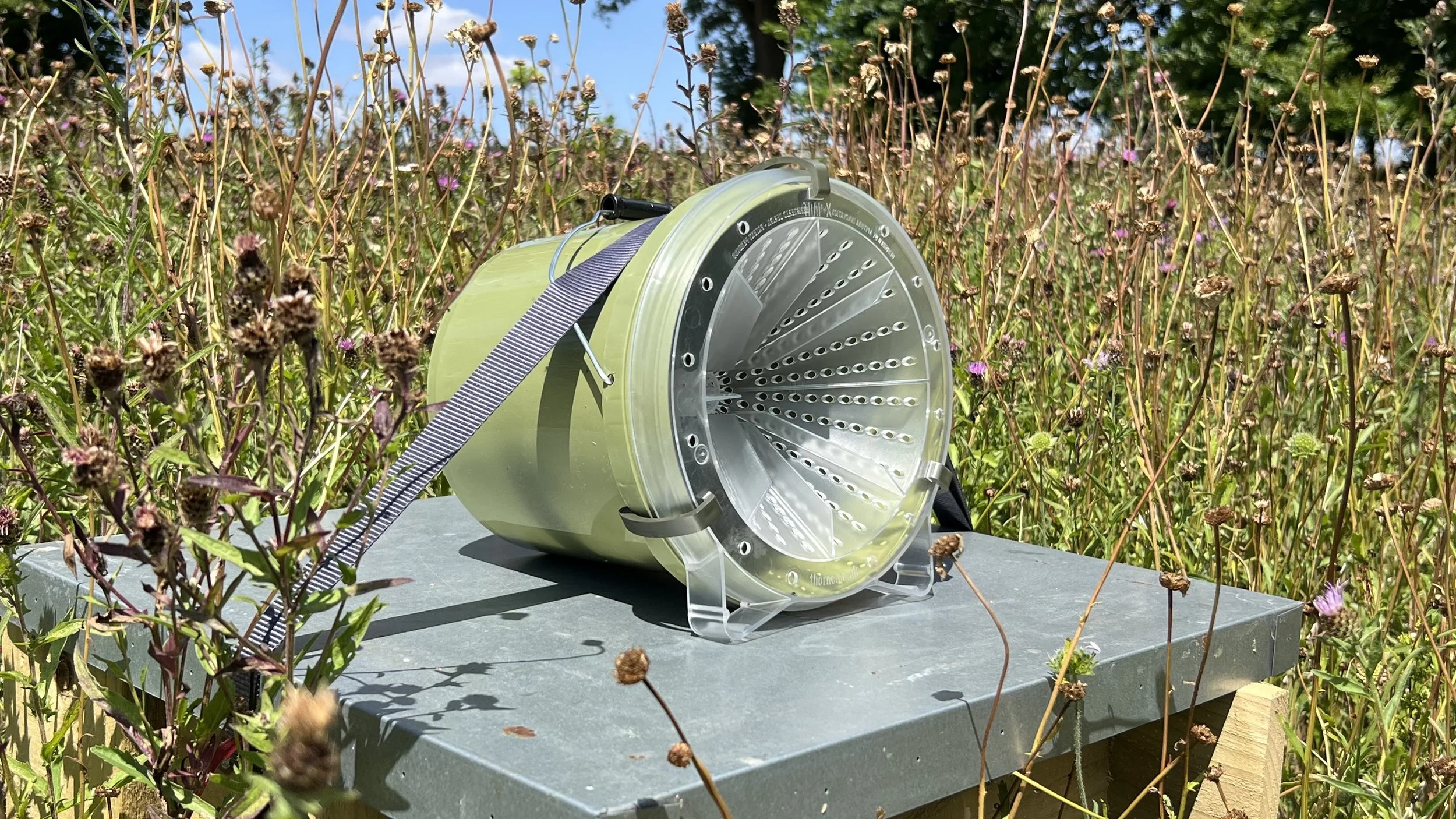 TRAP-X® Asian Hornet Traps 4 IMG 6847