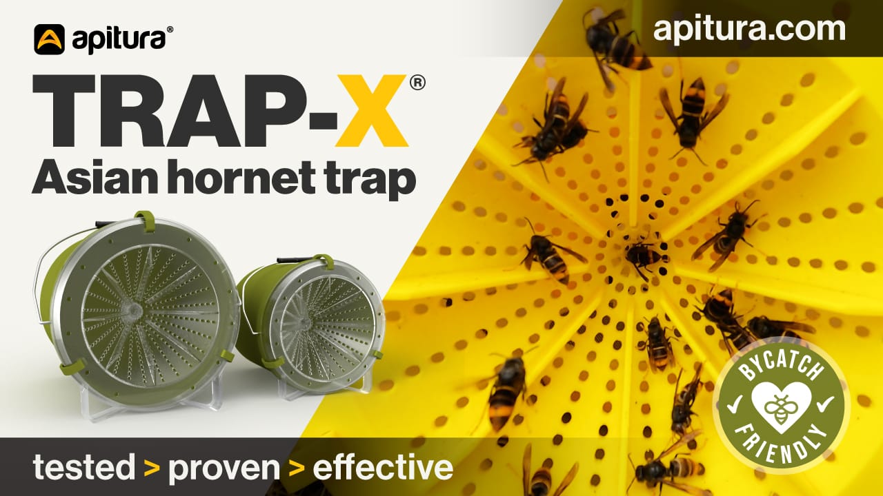 trap-x-5 Asian Hornet Traps